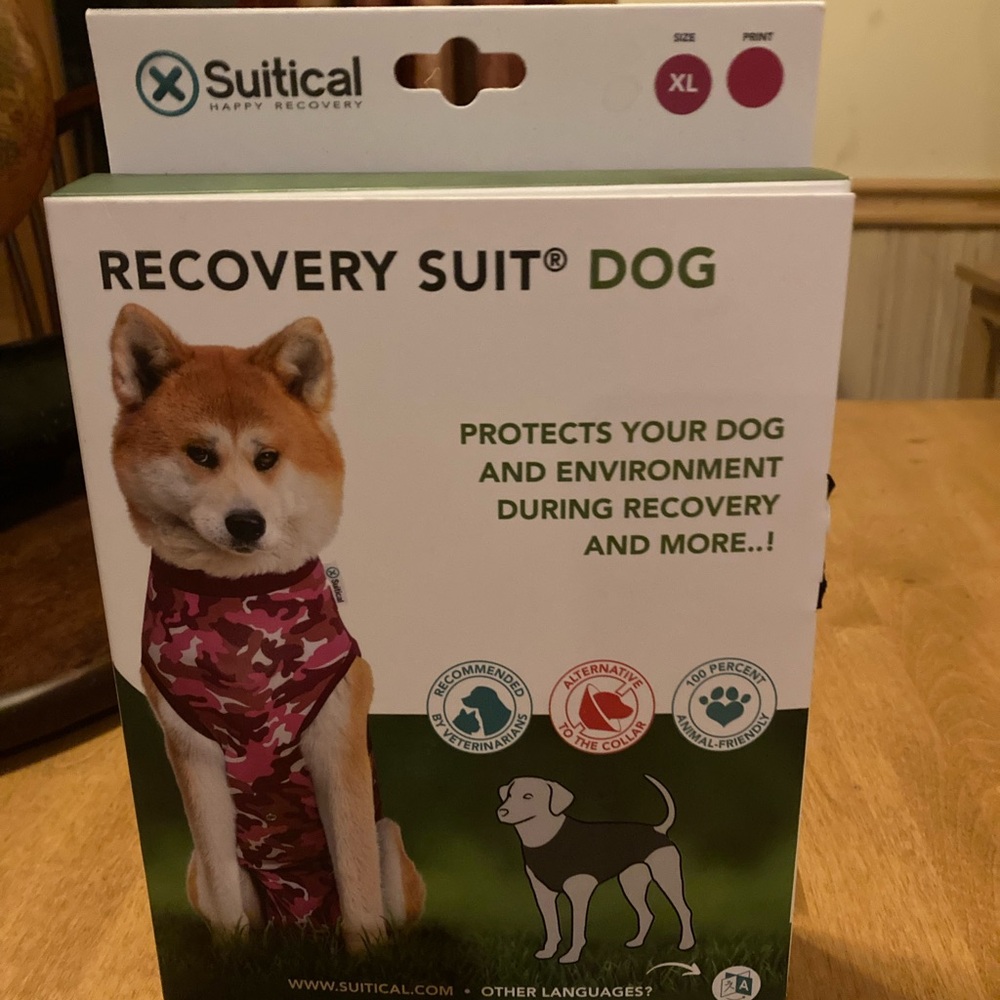 Suitical recovery suit for dogs
